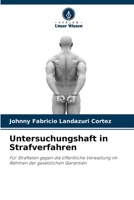 Untersuchungshaft in Strafverfahren 6204096281 Book Cover