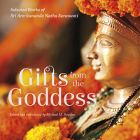 Gifts from the Goddess: Selected Works of Sri Amritananda Natha Saraswati 1944934766 Book Cover