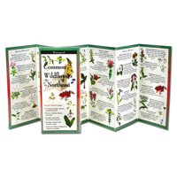 Common Wildflowers of the Northeast 1621263878 Book Cover
