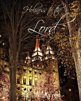Holiness to the Lord 1514150026 Book Cover