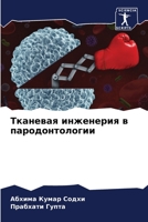 Тканевая инженерия в пародонтологии 6205961792 Book Cover