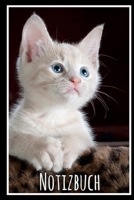 Notizbuch: Planer mit Katze f�r deine Notizen. 120 Seiten mit Karos und gl�nzendem Softcover 1702569497 Book Cover