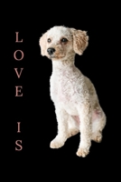 love is: Toy Poodle Women Men Kids Dog Mom Dad Love Pet Gift Journal/Notebook Blank Lined Ruled 6x9 100 Pages 1695974190 Book Cover