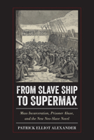 From Slave Ship to Supermax: Mass Incarceration, Prisoner Abuse, and the New Neo-Slave Novel 143991415X Book Cover