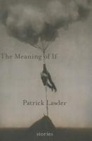 The Meaning of If 1935536451 Book Cover