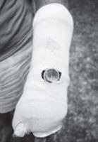 Hamburger Eyes No. 32 0692116222 Book Cover