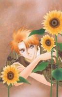 Pieces of a Spiral: Volume 8 1401210341 Book Cover