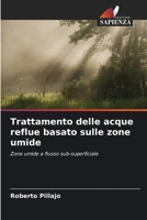 Trattamento delle acque reflue basato sulle zone umide: Zone umide a flusso sub-superficiale 6206390217 Book Cover