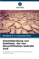 Umweltprüfung von Gebieten, die von Desertifikation bedroht sind (German Edition) 6207758102 Book Cover