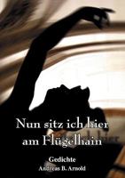 Nun sitz ich hier am Flügelhain: Gedichte 3837077934 Book Cover