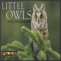 Little Owls CALENDAR 2022: 12 Month Mini Calendar from Jan 2022 to Dec 2022, Cute Gift Idea | Pictures in Every Month B096TRV9GC Book Cover