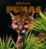 Pumas (Big Cats) 0823952118 Book Cover