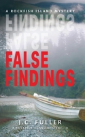False Findings B0C4SDWFTZ Book Cover