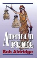 America in Peril 1932717153 Book Cover