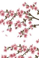 Mon Agenda Perpétuel: Agenda universel de 56 semaines avec des pages supplémentaires à découvrir et une couverture fantaisie : Sakura n°4 (15 x 23 cm) 1790566088 Book Cover