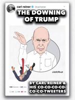 The Downing of Trump 0999518224 Book Cover