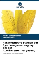 Parametrische Studien zur Synthesegaserzeugung bei der Abwärtsstromvergasung (German Edition) 6208253500 Book Cover