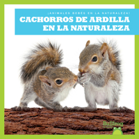 Cachorros de Ardilla En La Naturaleza (Squirrel Kits in the Wild) B0BY15K2PN Book Cover