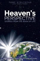 Heaven's Perspective: Stories from the Book of Life: How a Good God Transforms Suffering Into Glory 154134619X Book Cover