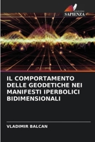 Il Comportamento Delle Geodetiche Nei Manifesti Iperbolici Bidimensionali 6206447057 Book Cover