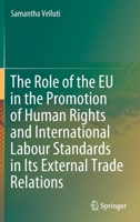 The Role of the EU in the Promotion of Human Rights and International Labour Standards in Its External Trade Relations 303056746X Book Cover