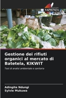 Gestione dei rifiuti organici al mercato di Batetela, KIKWIT 6207266897 Book Cover