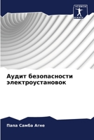 Аудит безопасности элек& 6205799359 Book Cover