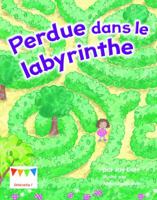 Perdue dans le labyrinthe 1772001678 Book Cover