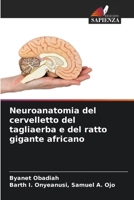 Neuroanatomia del cervelletto del tagliaerba e del ratto gigante africano 6207278348 Book Cover