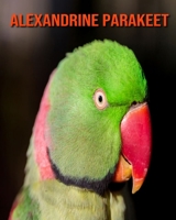 Alexandrine Parakeet: Beautiful Pictures & Interesting Facts Children Book About Alexandrine Parakeet B08M8Y5KK4 Book Cover