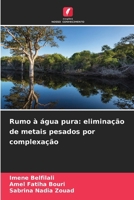 Rumo à água pura: eliminação de metais pesados por complexação (Portuguese Edition) 6209952054 Book Cover