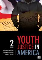 Youth Justice In America 156802987X Book Cover