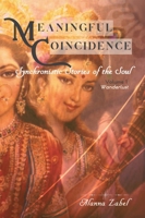 Meaningful Coincidence 0989807789 Book Cover