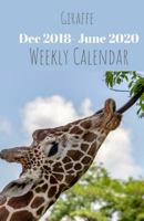 Giraffe Weekly Calendar: Dec 2018- June 2020 1730701019 Book Cover