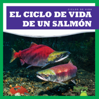 El ciclo de vida de un salmón (A Salmon’s Life Cycle) (Bullfrog Books Spanish Edition: Ciclos de vida B09TV1VXG1 Book Cover