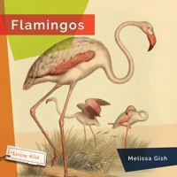 Flamingos 1628320028 Book Cover