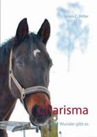 Charisma: ... oder Wunder gibt es 3743137224 Book Cover