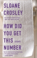 How Did You Get This Number: Essays 1594485194 Book Cover