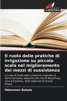 Il ruolo delle pratiche di irrigazione su piccola scala nel miglioramento dei mezzi di sussistenza (Italian Edition) 6207189086 Book Cover
