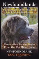 Newfoundlands Dog Training Book for Newfoundland Dogs & Newfoundland Puppies by D!G THIS DOG Training: Newfoundland Training Begins From the Car Ride Home Newfoundland Dog Training 1724222341 Book Cover