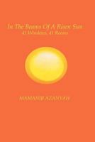 In The Beams Of A Risen Sun: 41 Windows, 41 Rooms 143489133X Book Cover