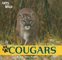 Animales de Safari: Cougars / Pumas 1448825164 Book Cover