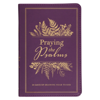 Praying the Psalms Devotional 1639524088 Book Cover