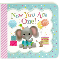 Now You Are One: A Keepsake Greeting Card Book 168052206X Book Cover