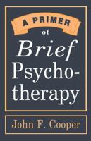 Primer Of Brief Psychotherapy 0393701891 Book Cover