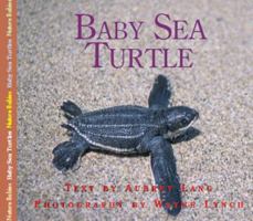 Baby Sea Turtle 1550417282 Book Cover