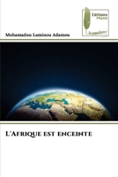 L'Afrique est enceinte (French Edition) 6207815475 Book Cover