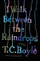 I Walk Between the Raindrops 006305289X Book Cover