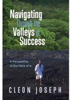 Navigating Through the Valleys of Success: A Perspective in the Thick of It 0578198118 Book Cover