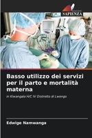 Basso utilizzo dei servizi per il parto e mortalità materna (Italian Edition) 6208104599 Book Cover